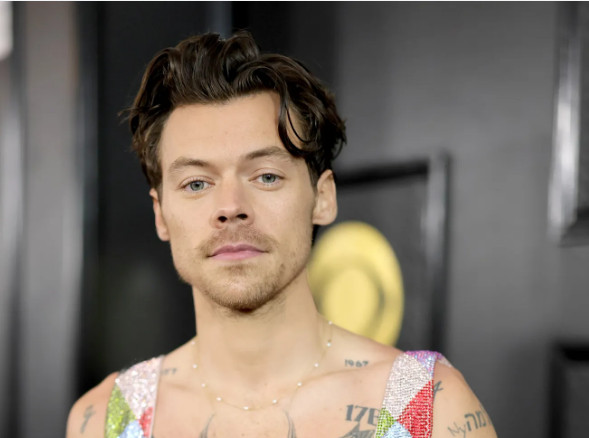 Harry Styles Height, Weight, Age, Career And Success