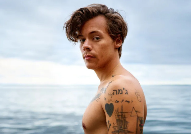 Harry Styles Height, Weight, Age, Career And Success